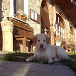 Ca Dell'aglio Alloggio per agriturismo *