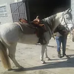 Ca Dell'aglio * Momperone