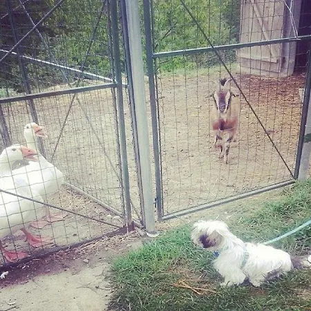 Alloggio per agriturismo Ca Dell'aglio *