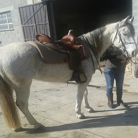 Ca Dell'aglio * Momperone