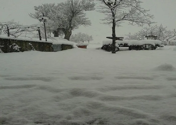 팜스테이 Ca Dell'aglio