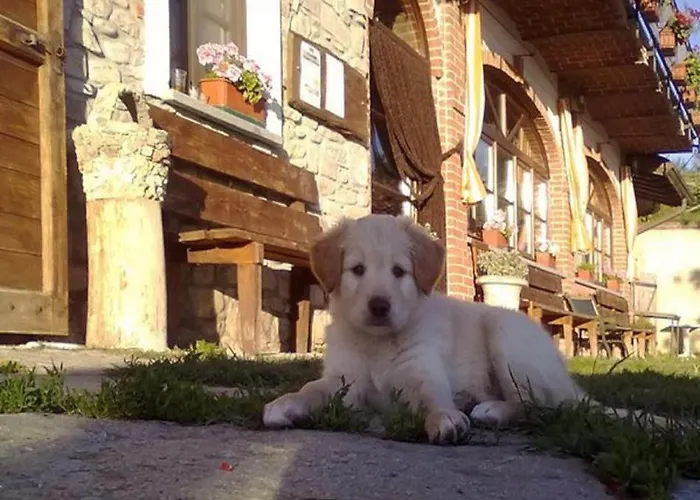 Ca Dell'aglio 팜스테이 *