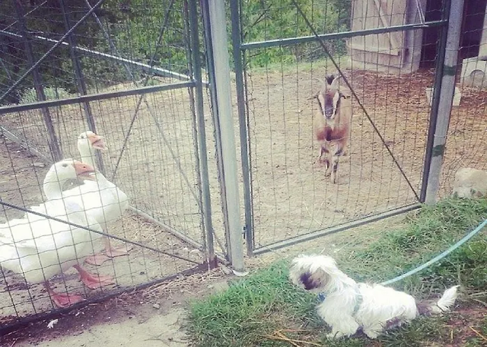 팜스테이 Ca Dell'aglio *