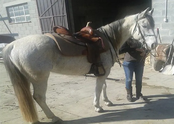 Ca Dell'aglio * Momperone